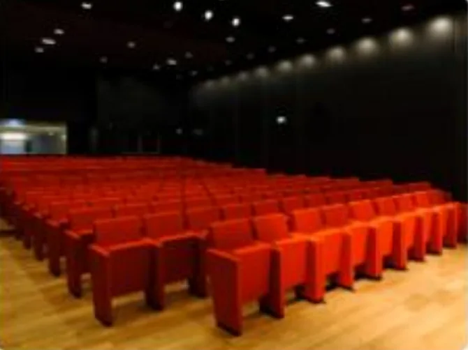 Rangées de fauteuils de la salle